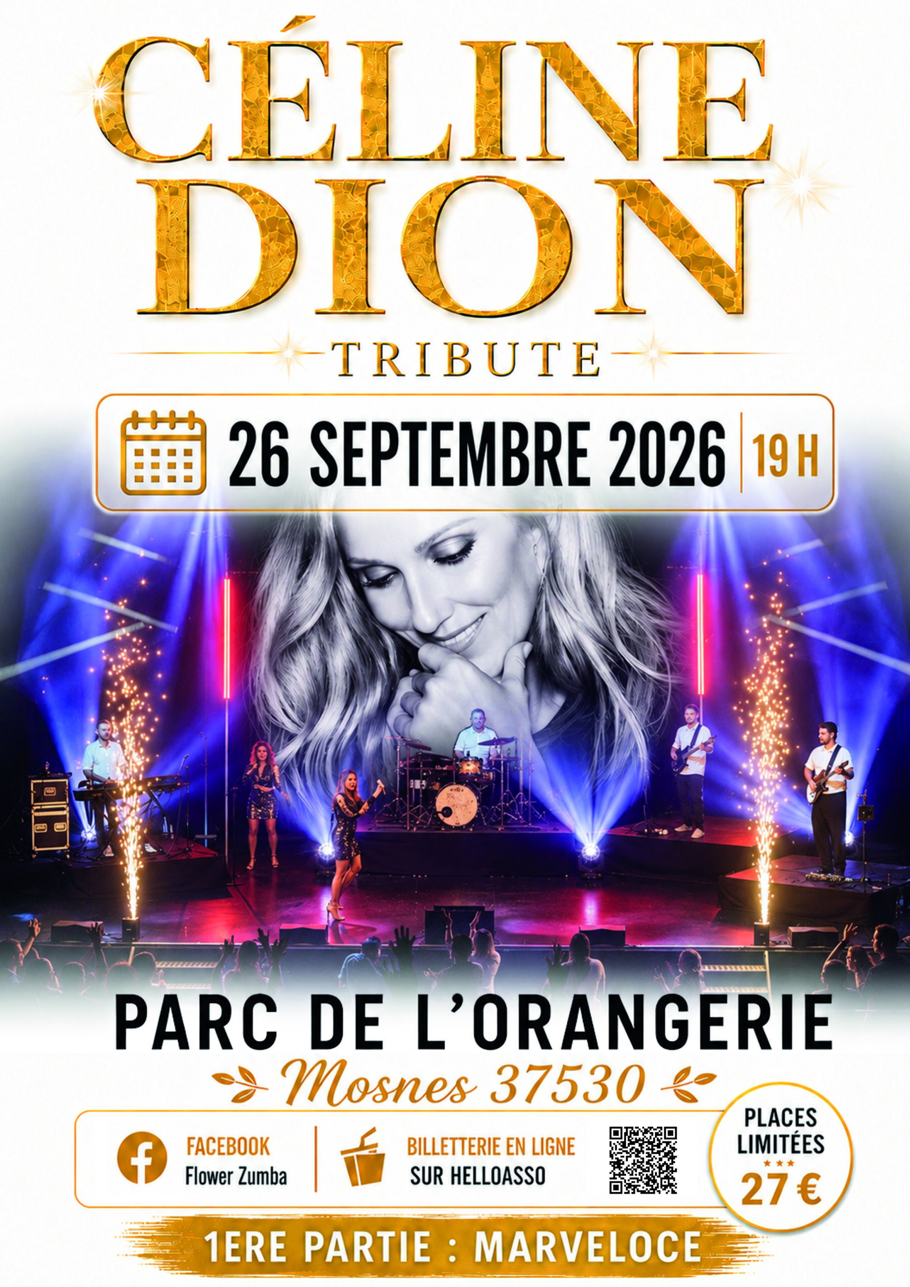 Affiche finalisé CELINE